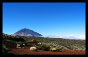 Go to slide teide_0117_r.jpg