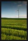 Go to slide windrad_gerste_6040.jpg